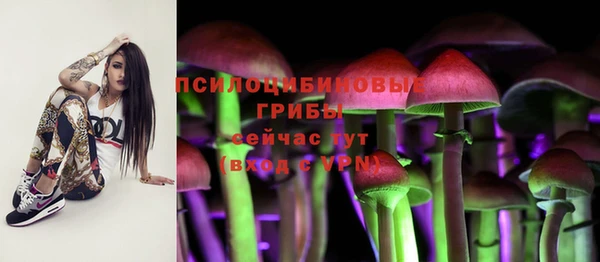 синтетический гашиш Алексеевка