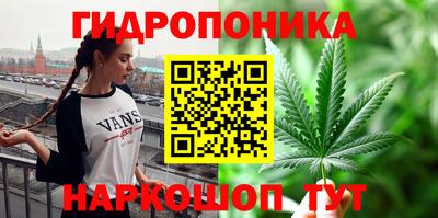 метадон Кингисепп