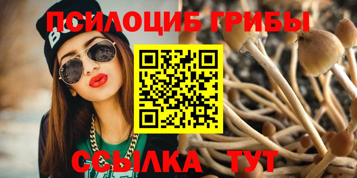 Ишим  Галлюциногенные грибы мицелий  Вход с VPN 