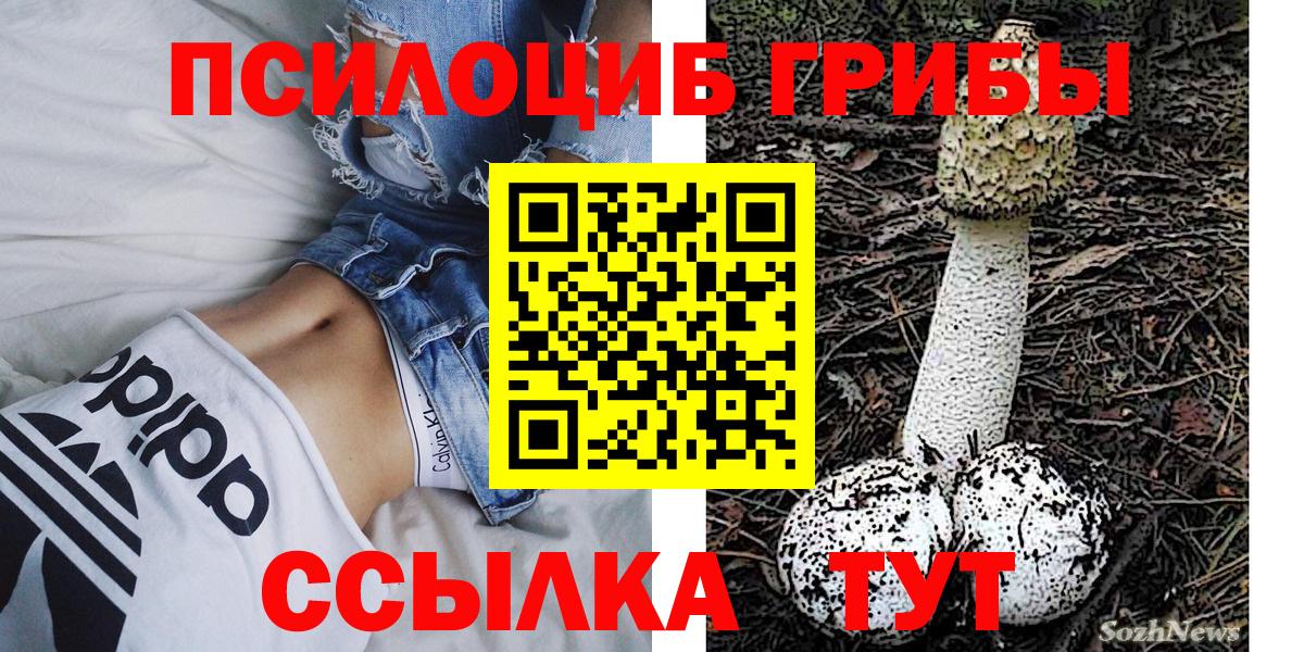 Галлюциногенные грибы прущие грибы Ишим