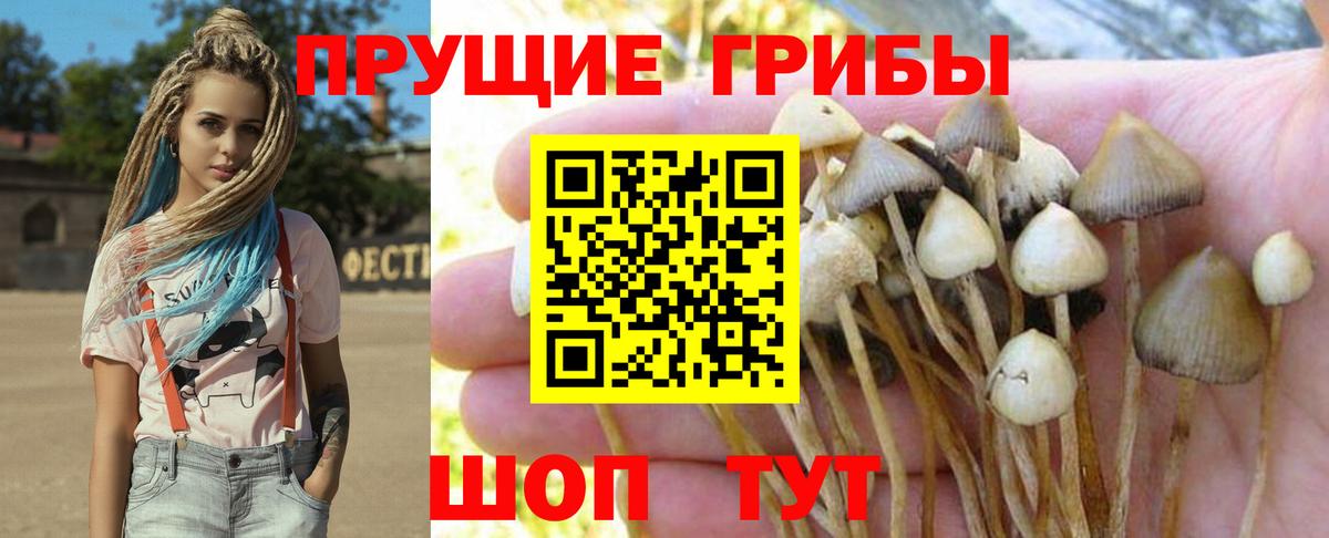 МЕФ   Бошки Шишки  Вход с VPN  Cocaine  Ишим  ГАШИШ 